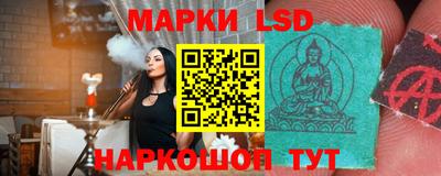 дмт Будённовск