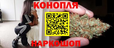 дмт Будённовск