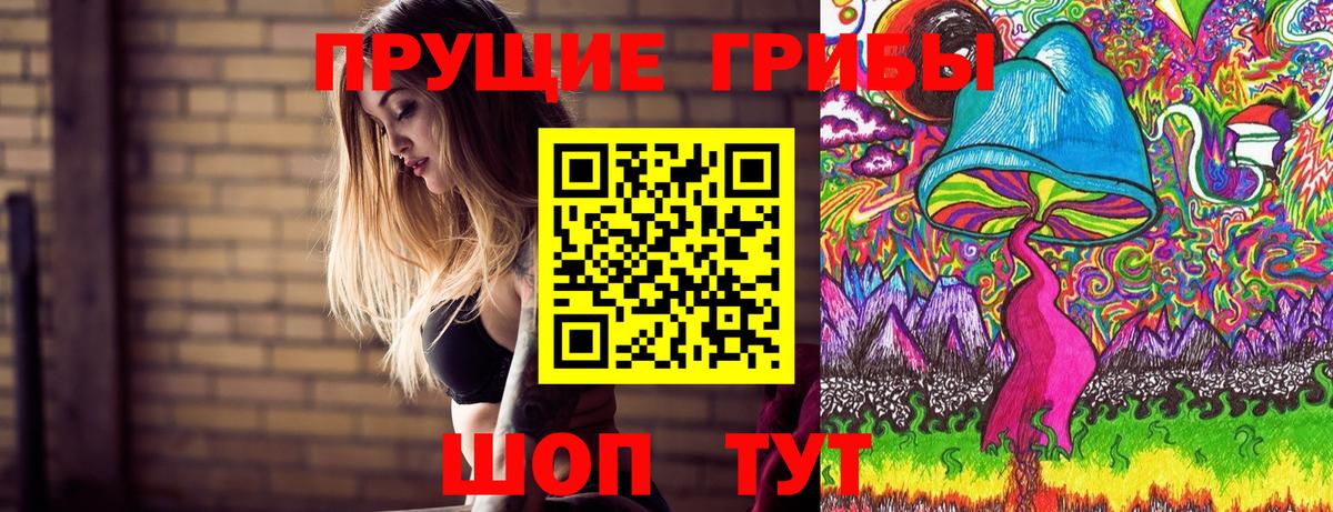 Галлюциногенные грибы Psilocybine cubensis Протвино