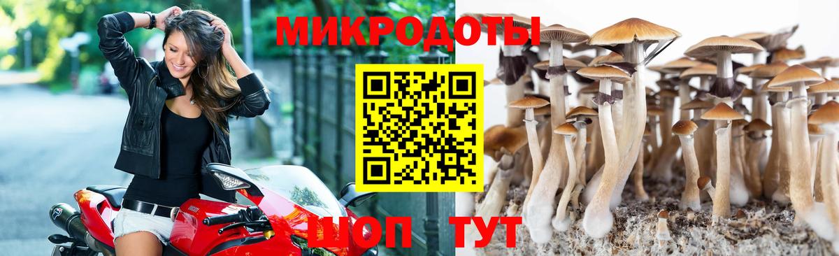 Протвино  Псилоцибиновые грибы мухоморы  Вход с VPN 